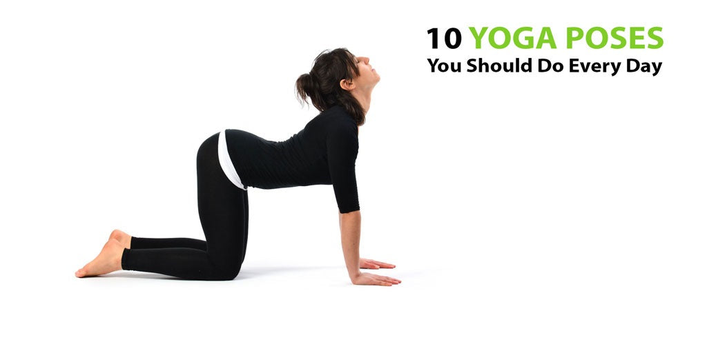 The 10 Yoga Poses You Should Do Every Day | Easy yoga workouts, How to do  yoga, Yoga poses